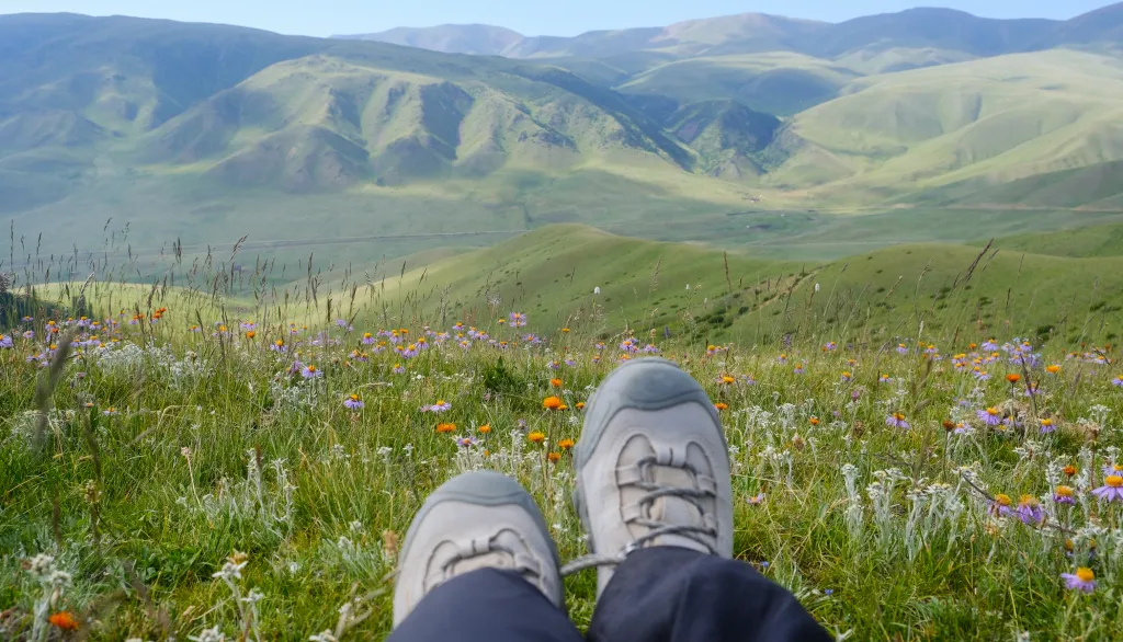 Where the Grass Grows: Watching the Sky from the Assy Plateau