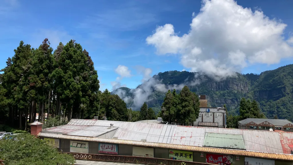 From Green to Grey and Back Again in Alishan, Taiwan