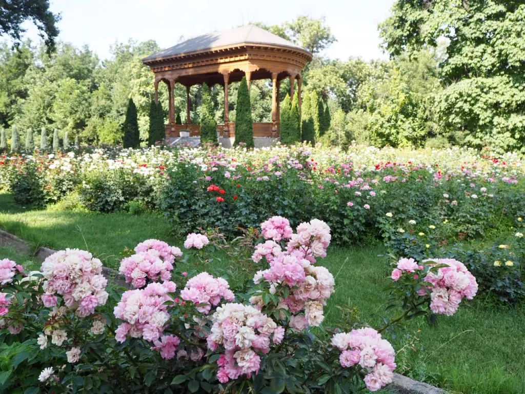 Gardens of Dushanbe